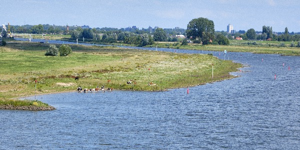 Rijn bij Wageningen
